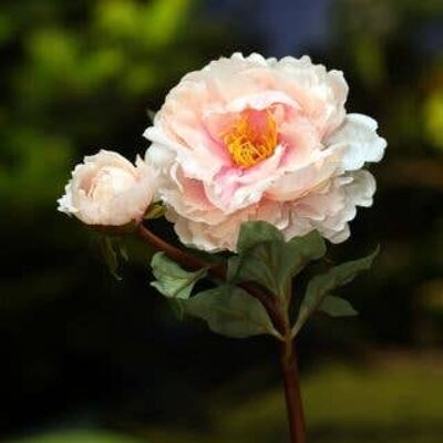 Artificial Light Pink Peony with Bud