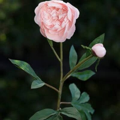 Artificial Blush Pink Japanese Frilled Peony with Bud