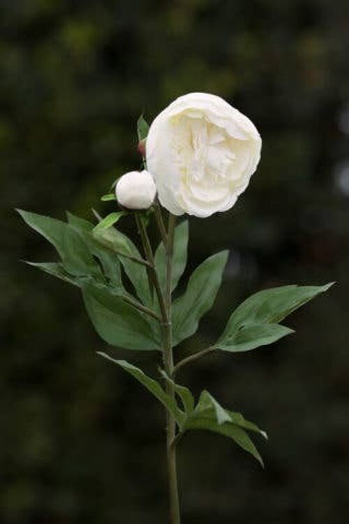 Artificial White Japanese Frilled Peony with Bud