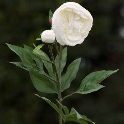 Artificial White Japanese Frilled Peony with Bud