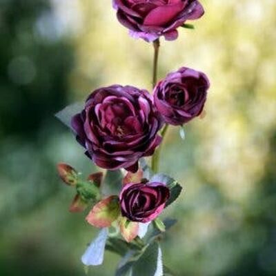 Dark Red Spray Small Old English Roses x 4 Heads