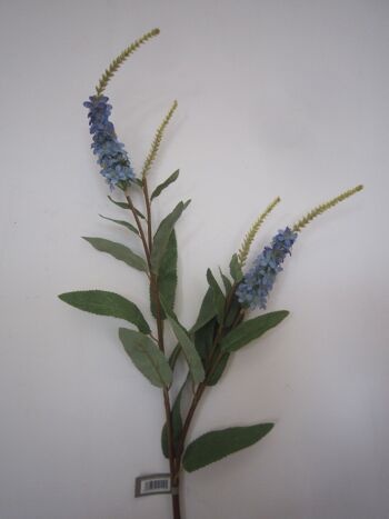 Faux bleu Salvia 2