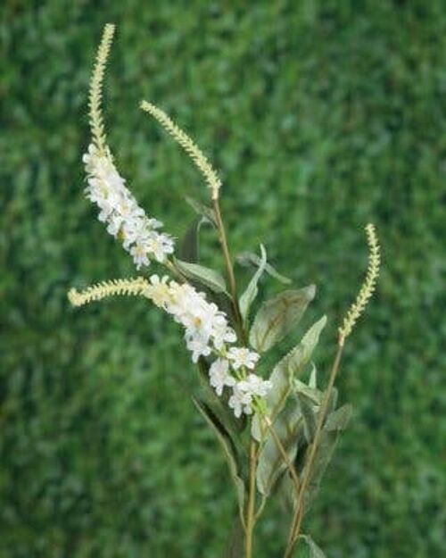 Faux Salvia White