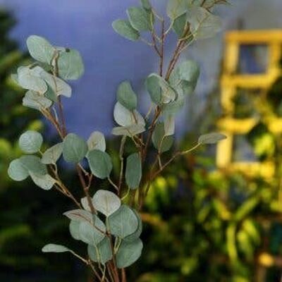 Stelo di eucalipto verde - 115 cm