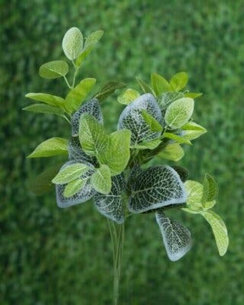 Bunch Mixed leaves