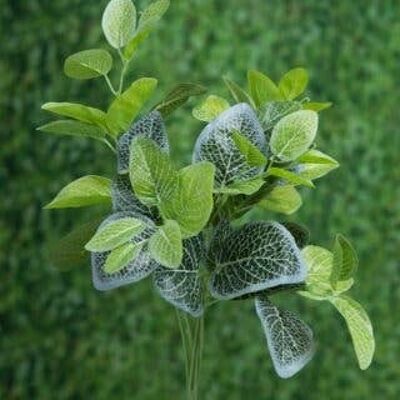 Bunch Mixed leaves