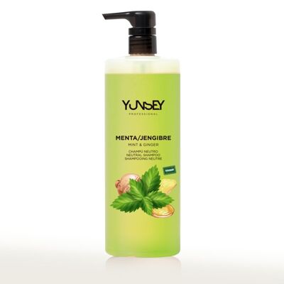 Neutrales Shampoo mit Minz- und Ingwerduft - 1000 ml