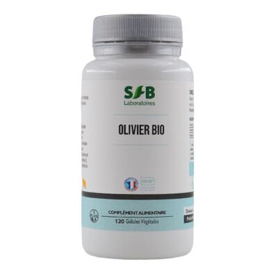 Olivo biologico