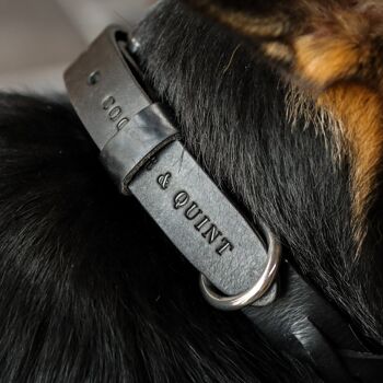 Collier pour chien en cuir torsadé - Noir - Raccords en acier inoxydable 3