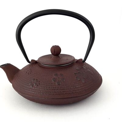 Zongse brown cast iron teapot