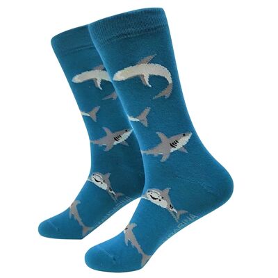 Chaussettes Sharks - Chaussettes Tangerine