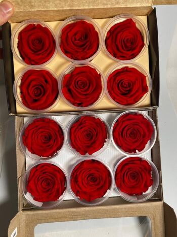 roses éternelles stabilisées en vrac 6cm, bouton de rose, saint valentin 5