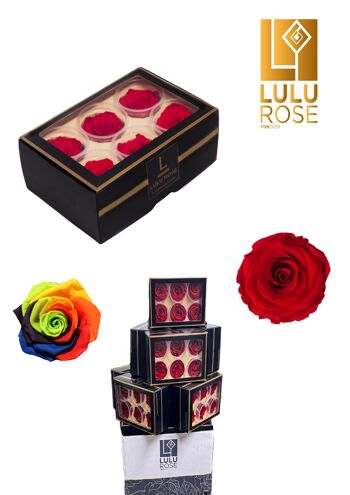 18 boîtes de 6 roses rouges éternelles stabilisées 6cm, 108 vrais boutons de roses rouges éternelles 4