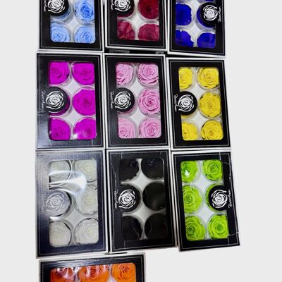 20 boxes of 6 Stabilized Eternal Roses 5/6cm, 120 real red roses colors of your choice