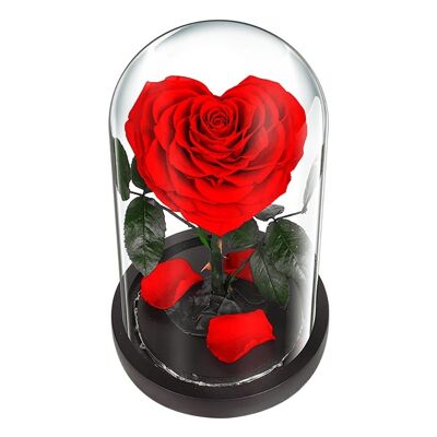 Dôme 18 cm Rose cœur Rouge
