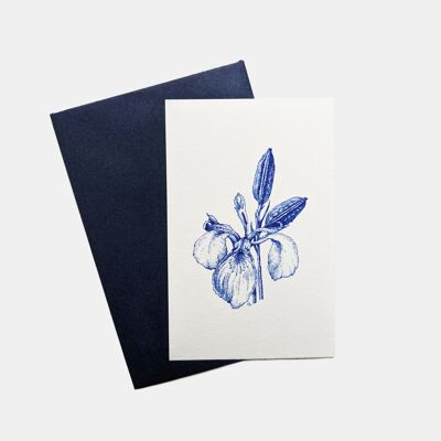 Iris-Minikarte
