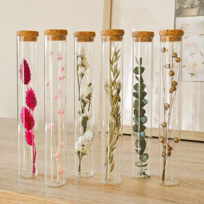 Tubes of dried flowers - 20cm tall