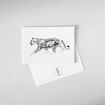 Tiger-Postkarte