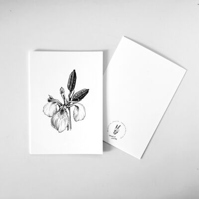 Iris-Postkarte