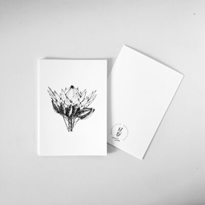 Protea Postkarte