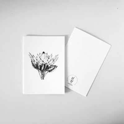 Protea postcard