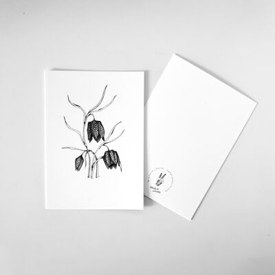 Postcard Fritillaria