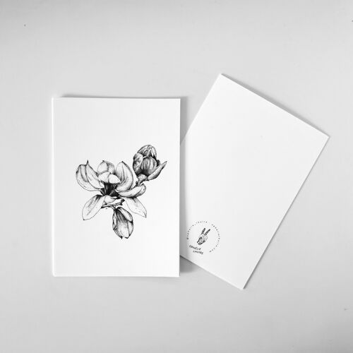 Carte postale Magnolia