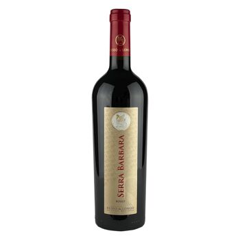 Vin rouge de Calabre Serra Barbara Cantine Russo & Longo