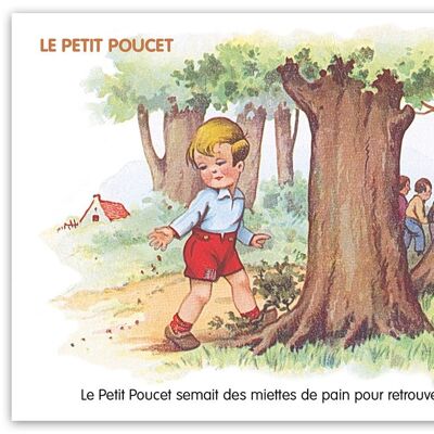 Carte postale Conte: Le Petit Poucet