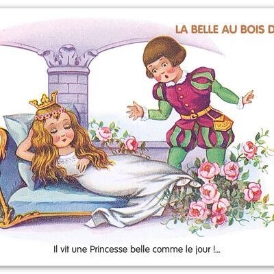 Postcard Tale: Sleeping Beauty