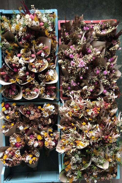 Lot de Mini Bouquets de Fleurs Séchées coloré en Cornet