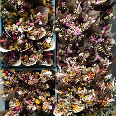 Lote de Mini Ramos de Flores Secas coloreadas en Cornet