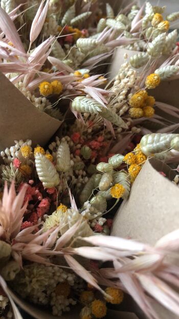 Lot de Mini Bouquets de Fleurs Séchées coloré en Cornet 4