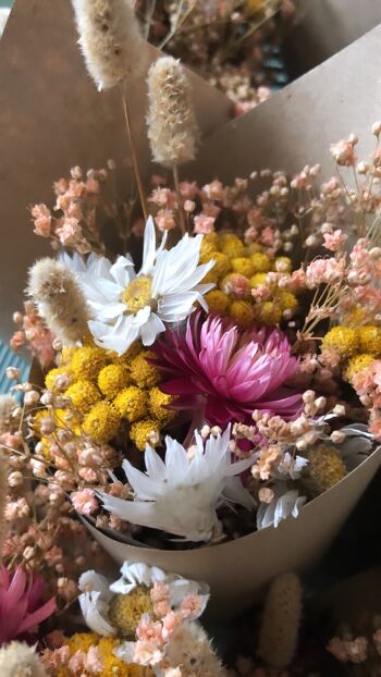Lot de Mini Bouquets de Fleurs Séchées coloré en Cornet 5