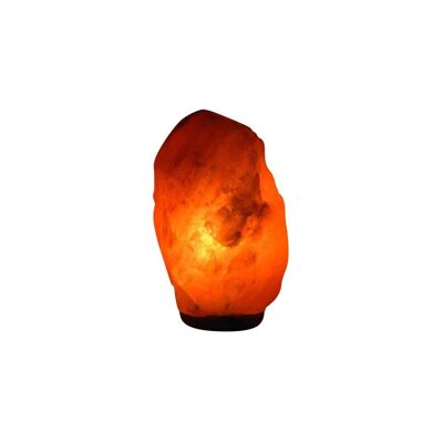 Lampe de sel 23cm de hauteur 4-5kg