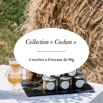 Kit d'implantation "Cochon"