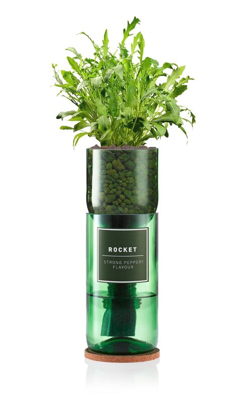 Rocket Hydro Herb Kit.