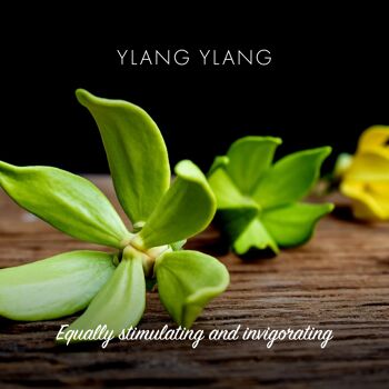 Savon Végétalien à l'Ylang Ylang 3