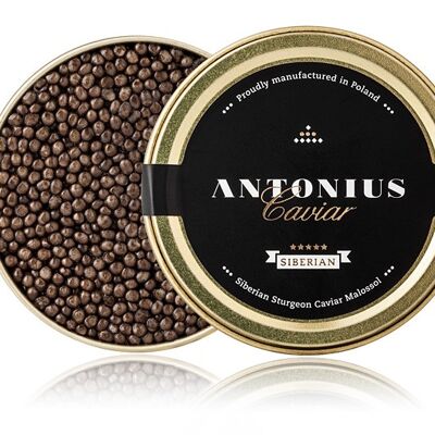 Siberian Antonius Caviar 5 Stars