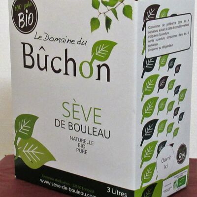 Sève de bouleau Fraiche