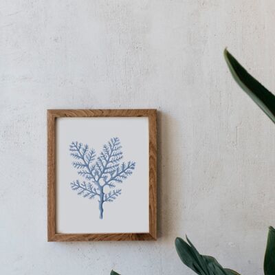 Botanical Watercolor A5 - Gorgonian Coral