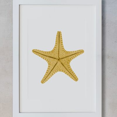 Acuarela Botánica A5 - Estrella de mar amarilla