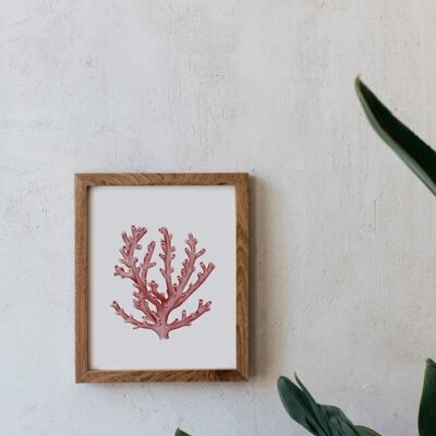 Botanical Watercolor A5 - Coral