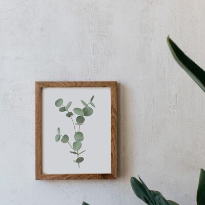 Botanical Watercolor A5 - Eucalyptus