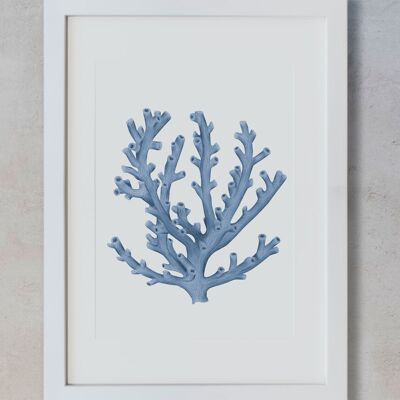 Botanical Watercolor A4 - Blue Coral