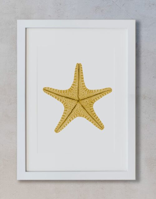 Acuarela Botánica A4 - Estrella de mar amarilla