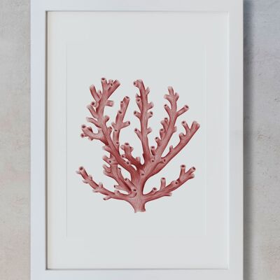 Botanical Watercolor A4 - Coral