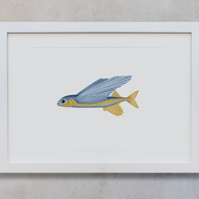 Botanisches Aquarell A4 - Fliegender Fisch