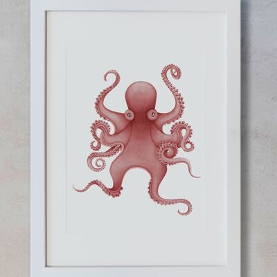 Botanical Watercolor A4 - Octopus