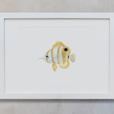 Botanical Watercolor A4 - Butterfly Fish
